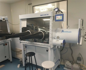 單工位溫度控制手套箱